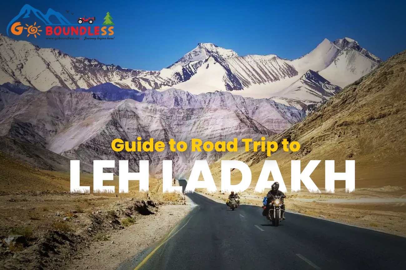 Road Trip to Leh Ladakh
