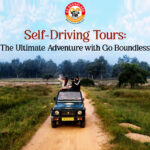 Self-Driving Tour of India