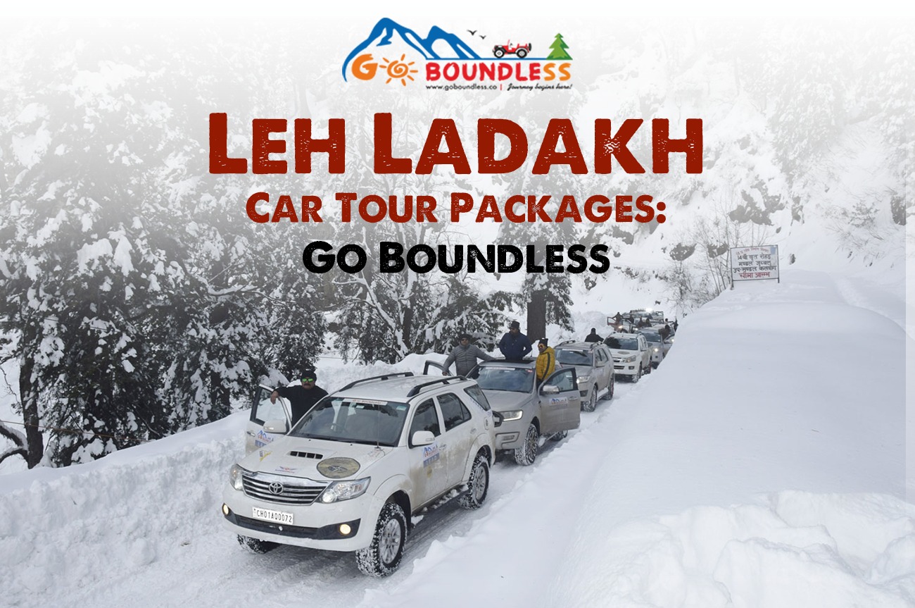 Leh Ladakh car tour packages