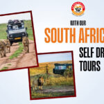 South Africa Self Drive Tours