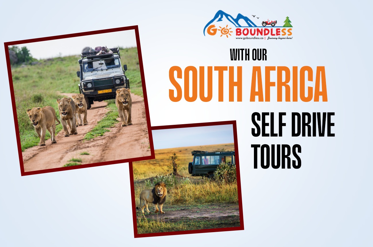 South Africa Self Drive Tours